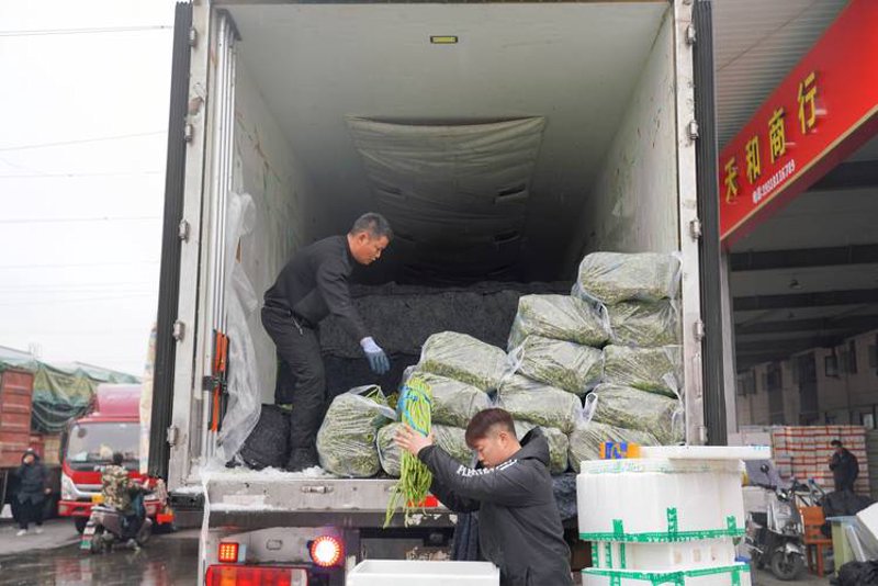 湖北省商贸市场新动态：机遇与挑战并存